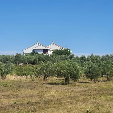 Βίλα Coast Secluded House With Heated Pool Privlaka (Zadar)