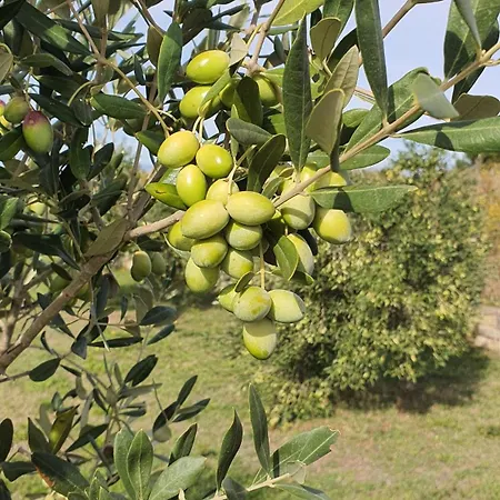 Coast Secluded House With Heated Pool 빌라 프리블라카